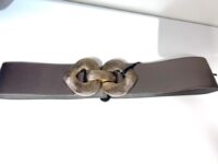 Bronast eleganten pas